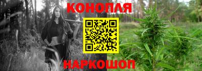 МДПВ Рузаевка